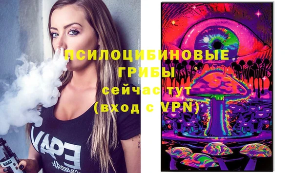 крисы Вязьма