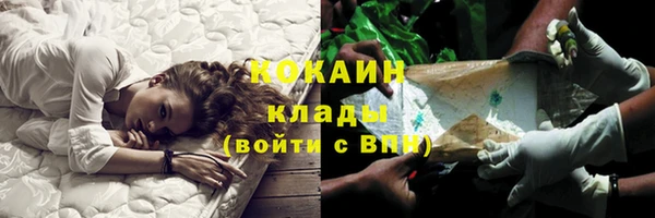 spice Володарск