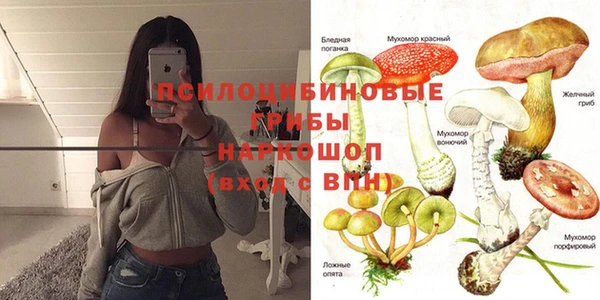 крисы Вязьма