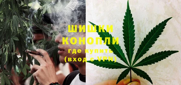 spice Володарск
