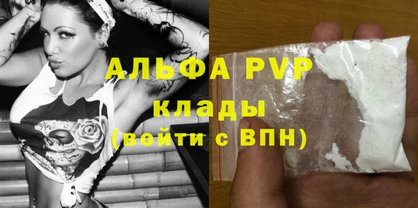 крисы Вязьма