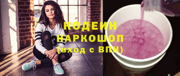 хмурый Вяземский
