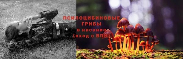 стафф Семикаракорск